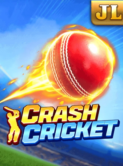 IPL cricket betting cover